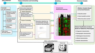 Uncontrolled Confounders May Lead to False or Overvalued Radiomics Signature: A Proof of Concept Using Survival Analysis in a Multicenter Cohort of Kidney Cancer